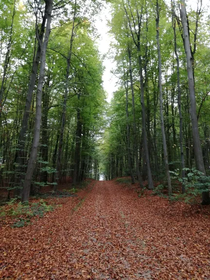 Gaasbeek + Kasteel van Gaasbeek (Lennik, België)